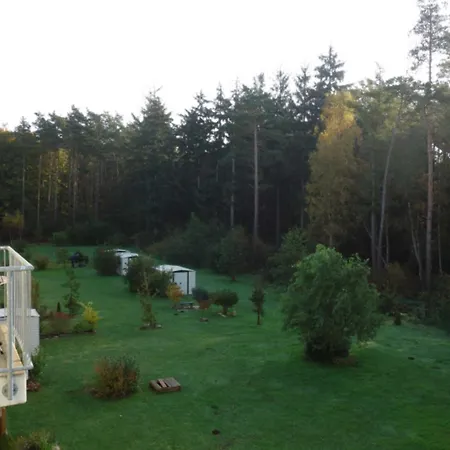 Kuestenwald - Kranichnest