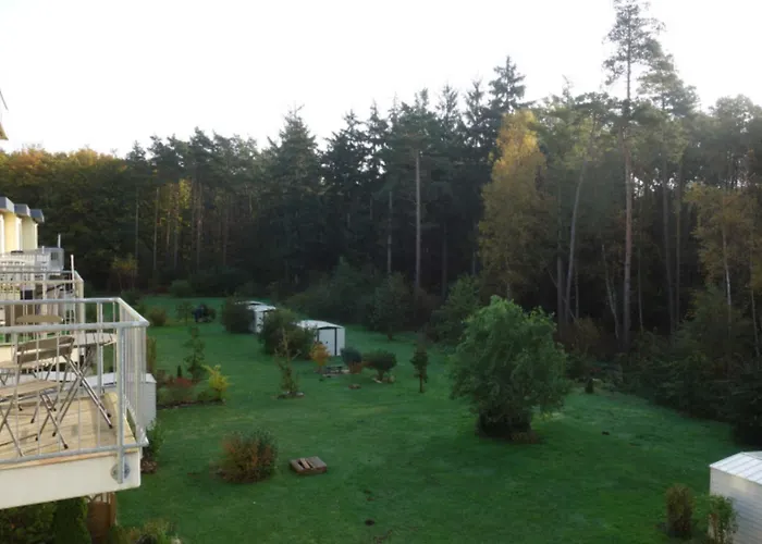 Kuestenwald - Kranichnest